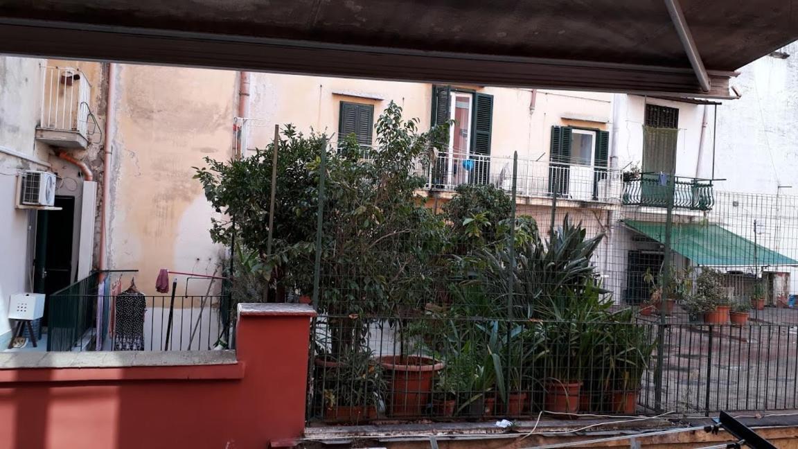 Emanuela Spagnoli Bed & Breakfast *
